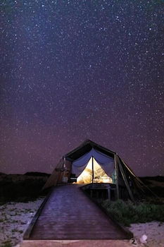 Sal Salis - Grafton Accommodation 2