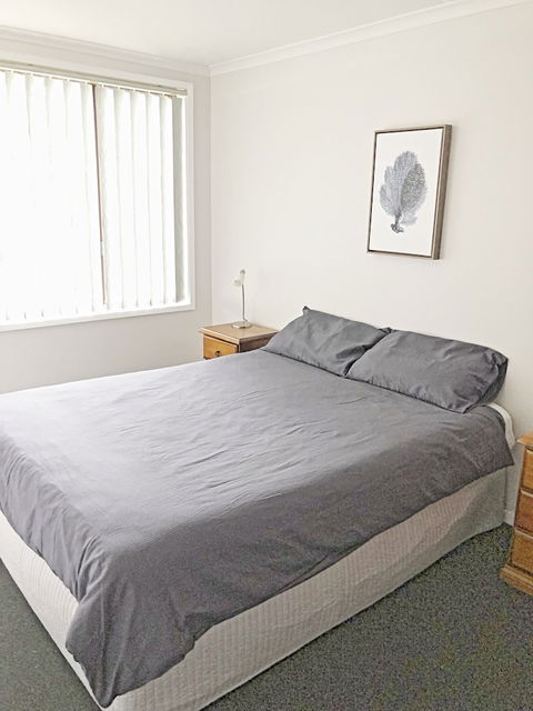 Albatross - Grafton Accommodation 1