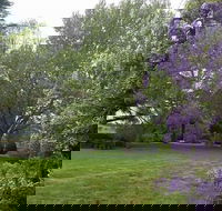Petersons Armidale Winery  Guesthouse - Grafton Accommodation