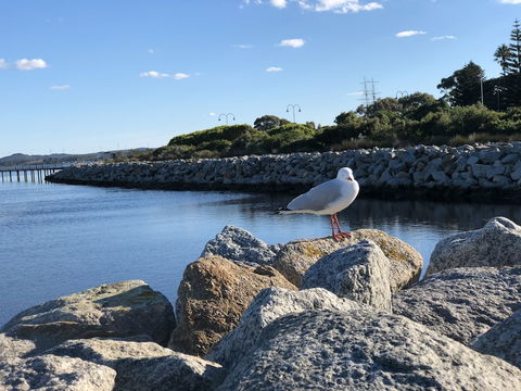 Albany Foreshore Guest House - Grafton Accommodation 3