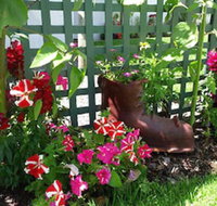 Albany Bayview Lodge YHA - Grafton Accommodation