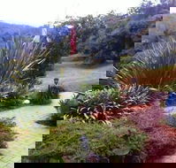 Rossmount Rural Retreat - Grafton Accommodation