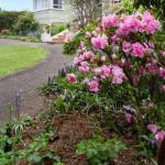 Anabels Of Scottsdale - Grafton Accommodation 0