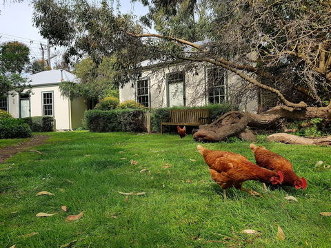 Clonmara Country House & Cottages - Grafton Accommodation 1