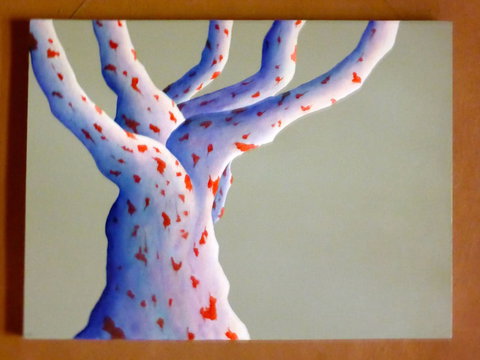 Wildwood Guesthouse - Grafton Accommodation 4