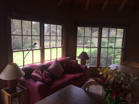 Wildwood Guesthouse - Grafton Accommodation 2