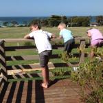 Beachend Bicheno - Grafton Accommodation 0