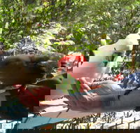 Lorne Bush House Cottages  Eco Retreats - Grafton Accommodation