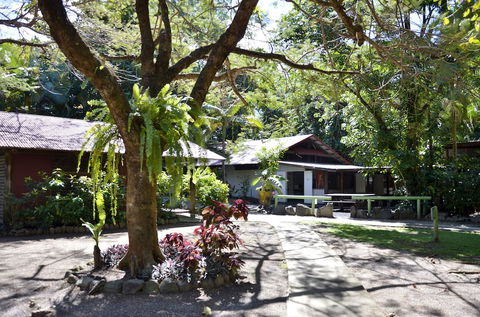PKs Jungle Village - Hostel - Grafton Accommodation 5