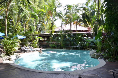 PKs Jungle Village - Hostel - Grafton Accommodation 1