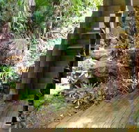 Rainforest Hideaway - Grafton Accommodation