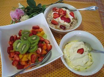 Jacaranda Creek Farmstay & B & B - Grafton Accommodation 0