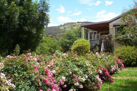 Yarra Glen Bed & Breakfast - Grafton Accommodation 7