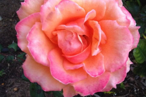 Augusta Escape Holiday Units - Grafton Accommodation 1