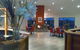 Swan Lake Guest House - thumb 3