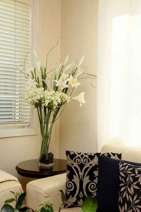 Apartments On The Park - Grafton Accommodation 2