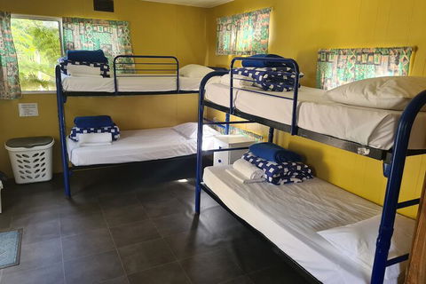 Shady Willows Holiday Park & YHA - Grafton Accommodation 6