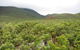 Aquila Eco Lodges - thumb 3