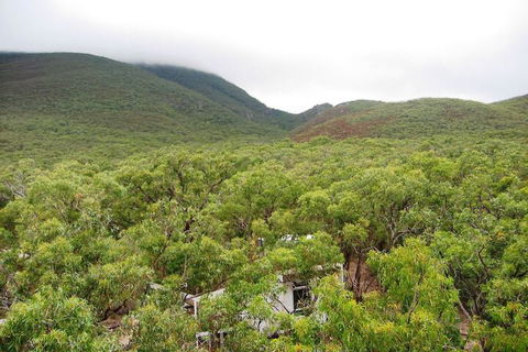 Aquila Eco Lodges - Grafton Accommodation 3