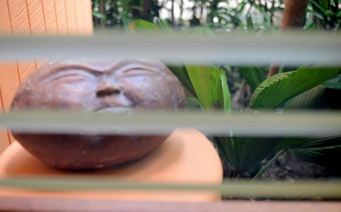 Sejala Beach Huts - Grafton Accommodation 6