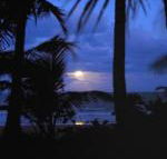 Sejala Beach Huts - Grafton Accommodation