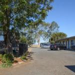 Artesian Motor Inn - Grafton Accommodation 0