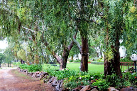 Outback Cellar & Country Cottage - Grafton Accommodation 2