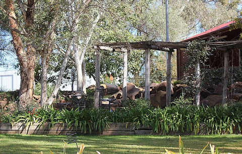 Outback Cellar & Country Cottage - Grafton Accommodation 4