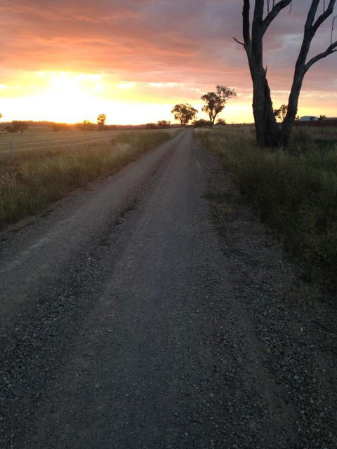 Outback Cellar & Country Cottage - Grafton Accommodation 5