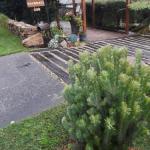 Rockwall Avoca Beach - Grafton Accommodation 0