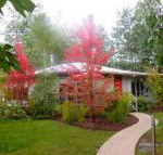 Dalrymples Guest Cottages - Grafton Accommodation