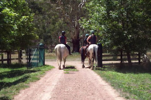 Halls On Falls Homestead - Grafton Accommodation 3