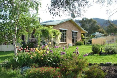 Halls On Falls Homestead - Grafton Accommodation 0