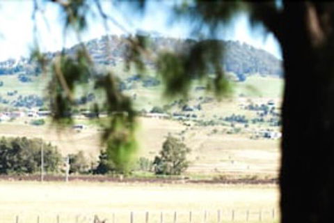Killarney View Cabins & Caravan Park - Grafton Accommodation 1