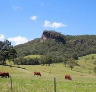 Rosevale House - Grafton Accommodation