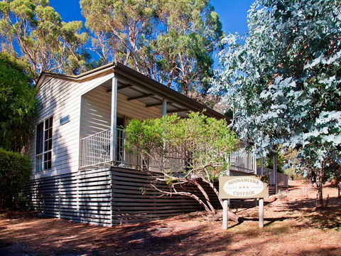 Noonameena Cottage - Grafton Accommodation 5