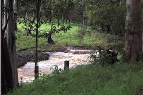 Spring Creek Mountain Cafe & Cottages - Grafton Accommodation 5