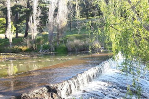 Avocados Accommodation - Grafton Accommodation 0