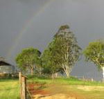 CBR Equine Cottage - Grafton Accommodation