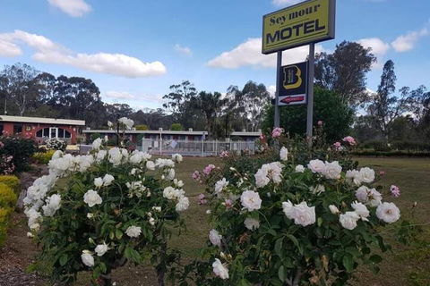 Seymour Motel - Grafton Accommodation 6