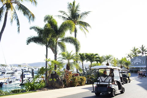 Yacht Club Villas - Grafton Accommodation 1