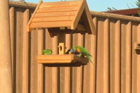 Travellers Rest Motel - Grafton Accommodation 1