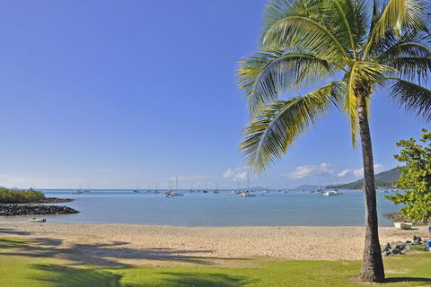 Colonial Court Beachfront Motel And Holiday Stay - Grafton Accommodation 5