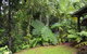 Tropical Bliss Bed & Breakfast - thumb 6