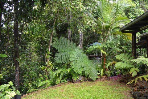 Tropical Bliss Bed & Breakfast - Grafton Accommodation 6