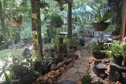 Tropical Bliss Bed & Breakfast - Grafton Accommodation 2