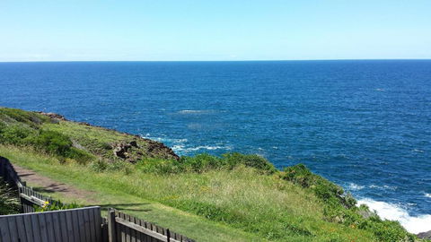 Sea Whispers - Grafton Accommodation 2