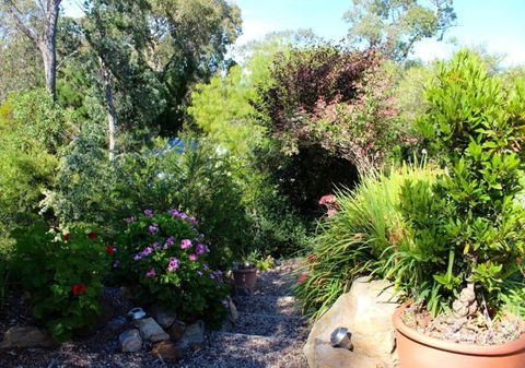 Astley Cottage - Grafton Accommodation 4