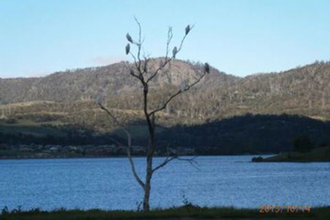 Derwent Retreat - Grafton Accommodation 6