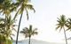 Palm Bungalows - thumb 2